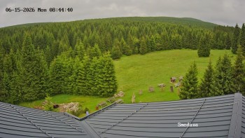Směďava