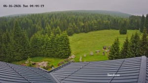 Směďava - Směďava, Černý vrch - 16.6.2026 v 04:45 Směďava - Směďava, Černý vrch - 16.6.2026 v 04:45