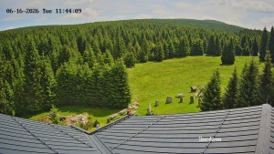 Směďava - Směďava, Černý vrch - 16.6.2026 v 11:45 Směďava - Směďava, Černý vrch - 16.6.2026 v 11:45