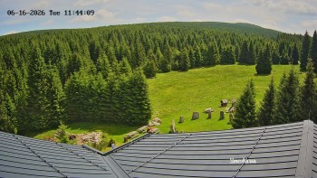 Směďava