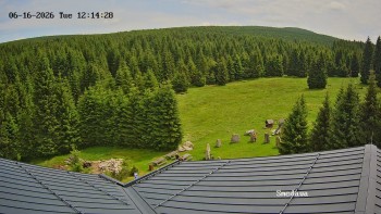 Směďava