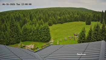Směďava
