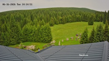 Směďava