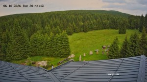 Smedava - Smědava, Black Hill - 16.6.2026 v 20:45 Smedava - Smědava, Black Hill - 16.6.2026 v 20:45