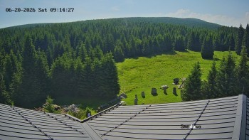 Směďava
