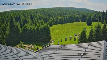 Směďava