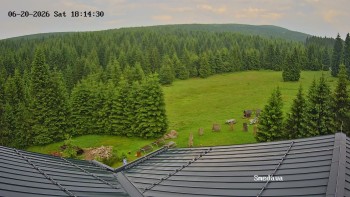 Směďava