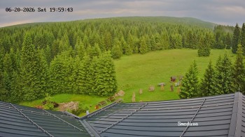 Směďava