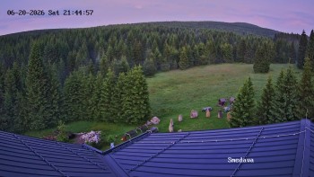 Směďava