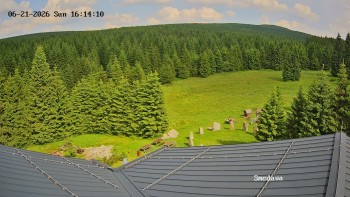 Směďava