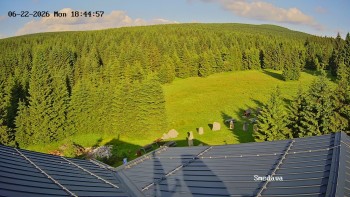 Směďava