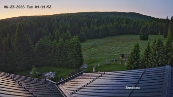 Směďava