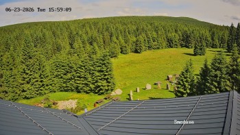 Směďava