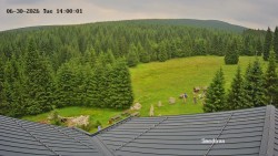 Směďava, Černý vrch