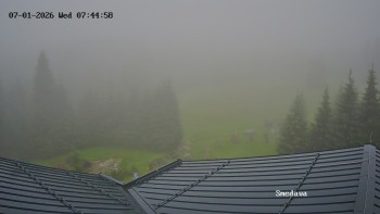 Směďava