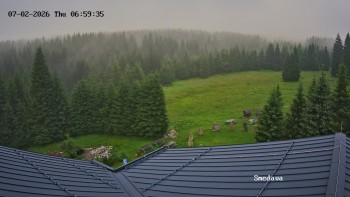 Směďava