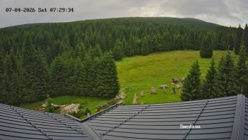 Směďava