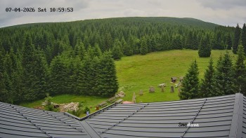 Směďava