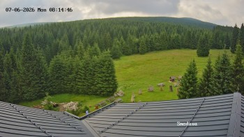 Směďava
