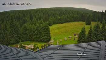 Směďava