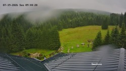 Směďava, Černý vrch