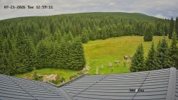 Směďava, Černý vrch