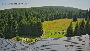 Směďava - Směďava, Černý vrch - 31.7.2026 v 11:45 Směďava - Směďava, Černý vrch - 31.7.2026 v 11:45