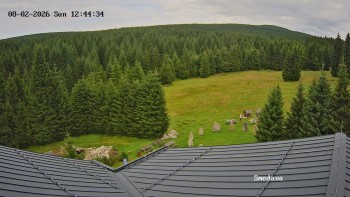 Směďava