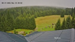Směďava, Černý vrch