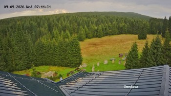 Směďava