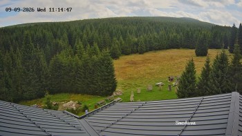 Směďava