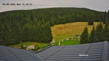 Směďava