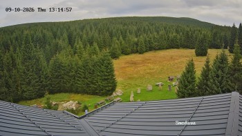 Směďava