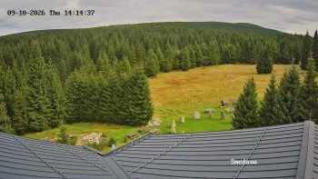 Směďava