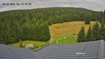 Směďava