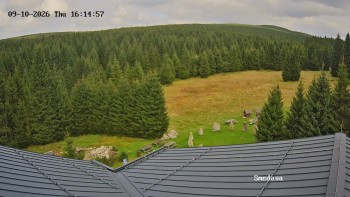 Směďava