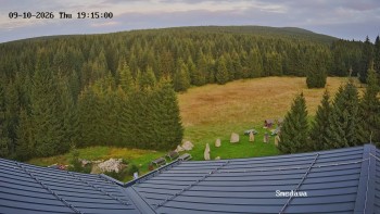 Směďava