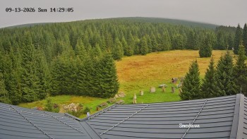 Směďava