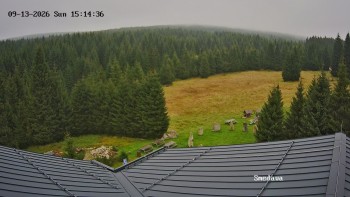 Směďava