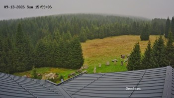 Směďava