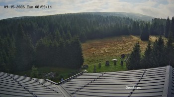 Směďava