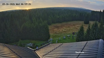 Směďava
