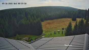 Směďava