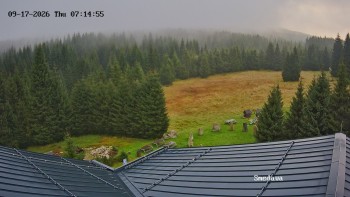 Směďava