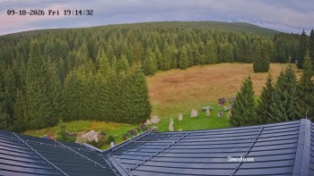 Směďava