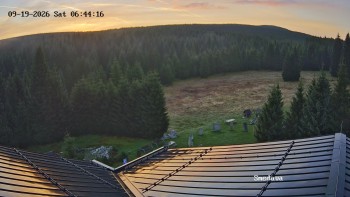 Směďava