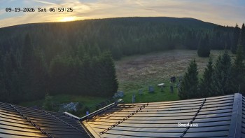Směďava