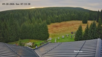 Směďava