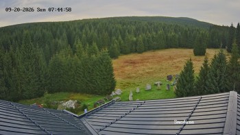 Směďava