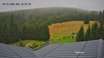 Směďava
